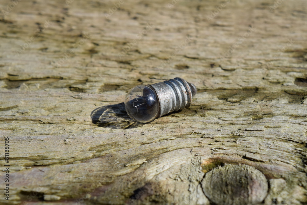 Incandescence bulb 3 volts.