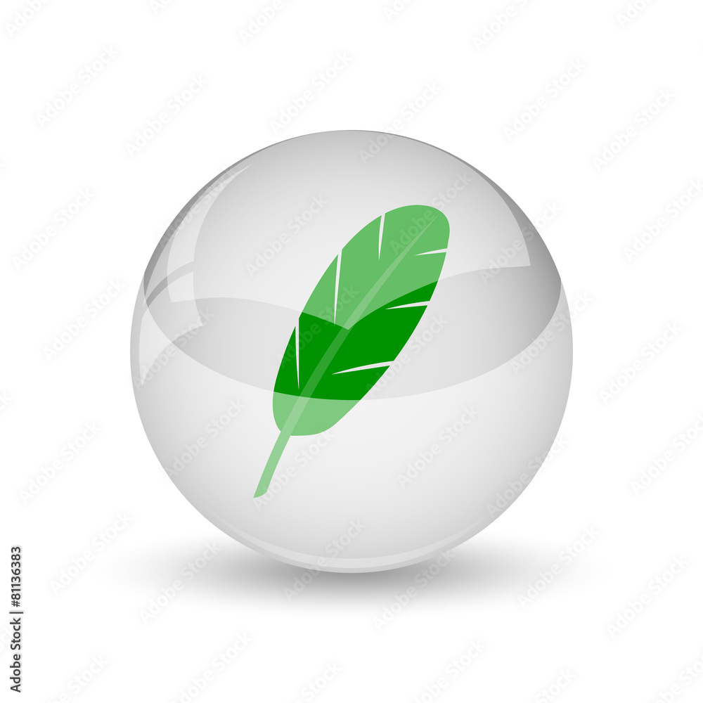 Obraz premium Feather icon