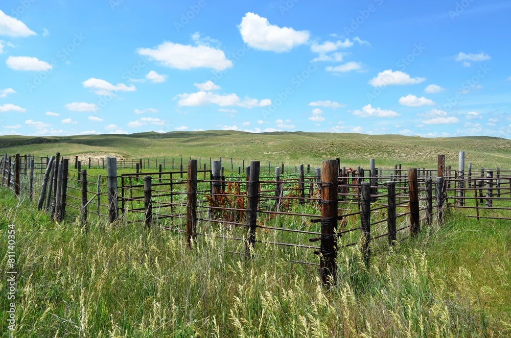 Livestock holding pens on a rural ranch Livestock holding pens on a rural ranch