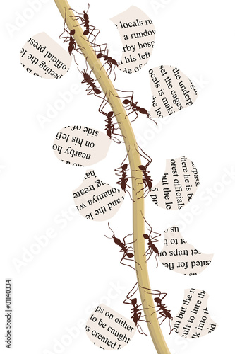 Paper recycling ants