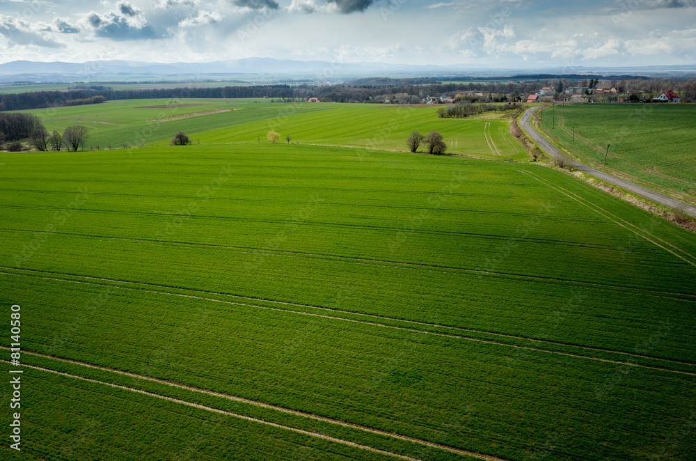 Aerial view of the field