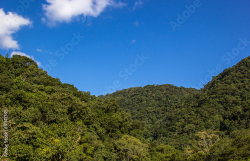 Colinas e floresta