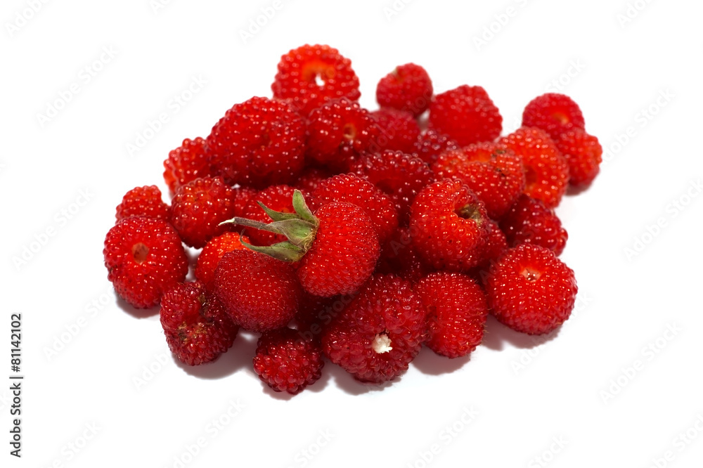 クサイチゴ-Rubus hirsutus クサイチゴ-Rubus hirsutus