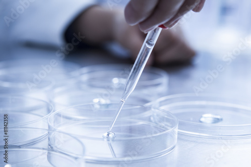 Obraz na plátne Petri dish, dropper, researchers