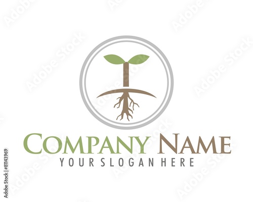 root shoot sprout plant logo icon vector