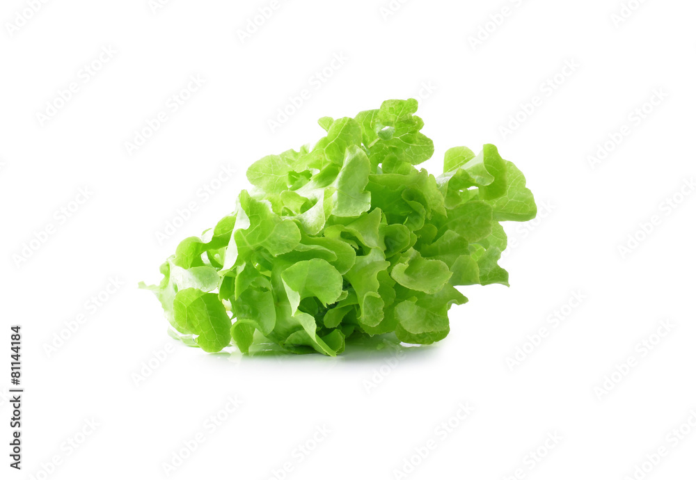 lettuce on white background