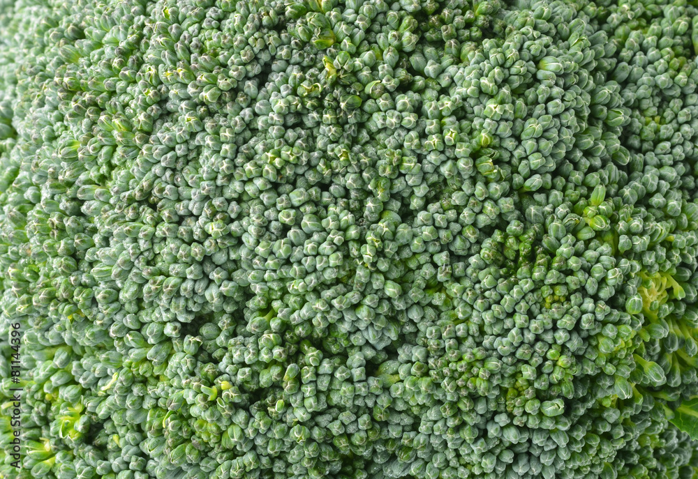 Fresh broccoli Fresh broccoli