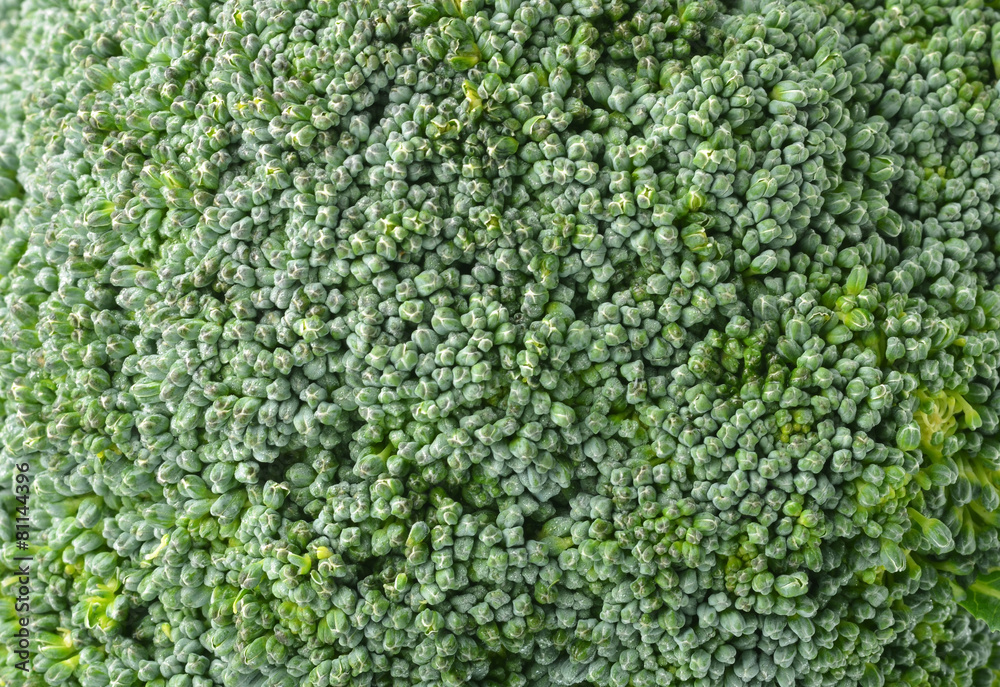 Fresh broccoli