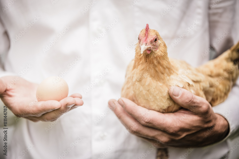 Paradox of the Chicken and the Egg - obrazy, fototapety, plakaty 