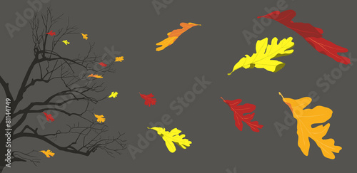 Oak Tree Branches and Leaves Blowing © vectorgoddess
