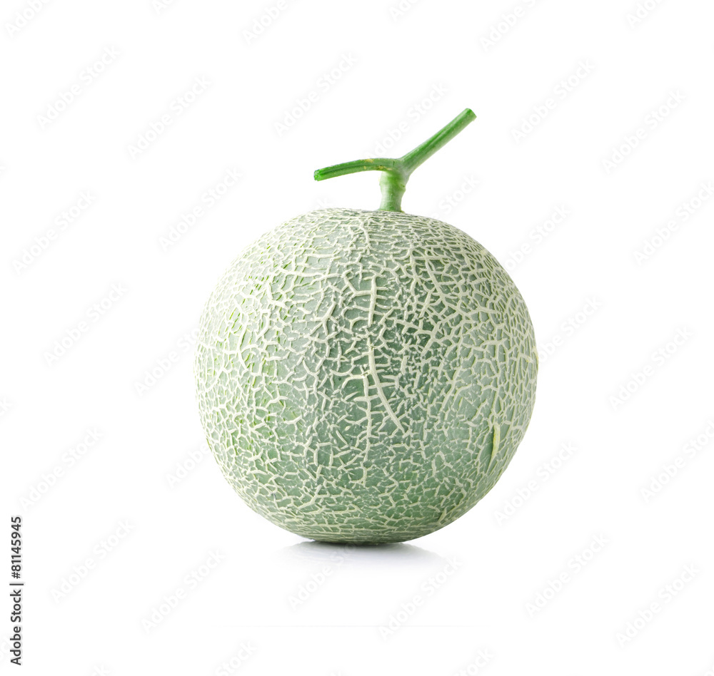 cantaloupe melon isolated on white background cantaloupe melon isolated on white background