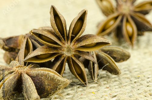 Star anise on Gunny Background. photo