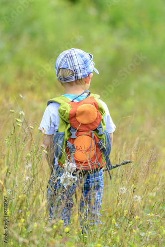die Natur beim Wandern erkunden