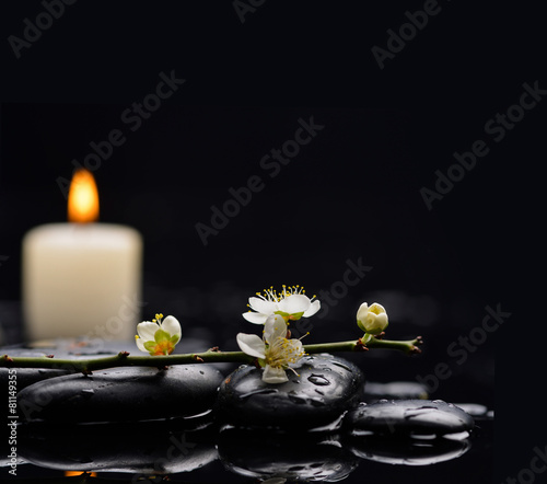 Cherry blossom  sakura flowers with candle on therapy stones 