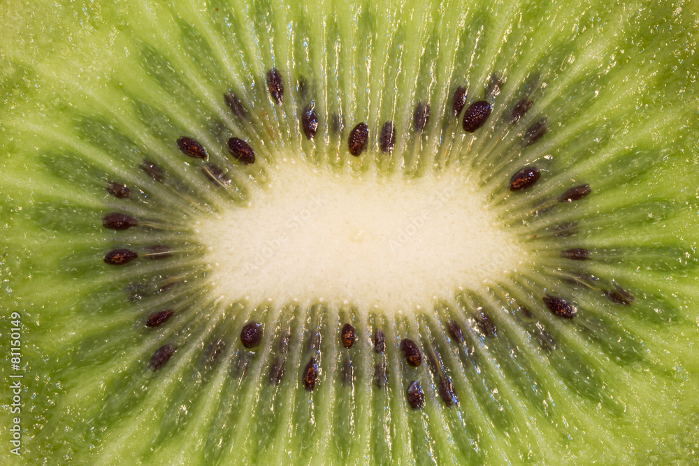 Closeup of a sliced kiwifruit viewed from the front Closeup of a sliced kiwifruit viewed from the front