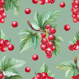 Seamless pattern with watercolor illustration of red currants