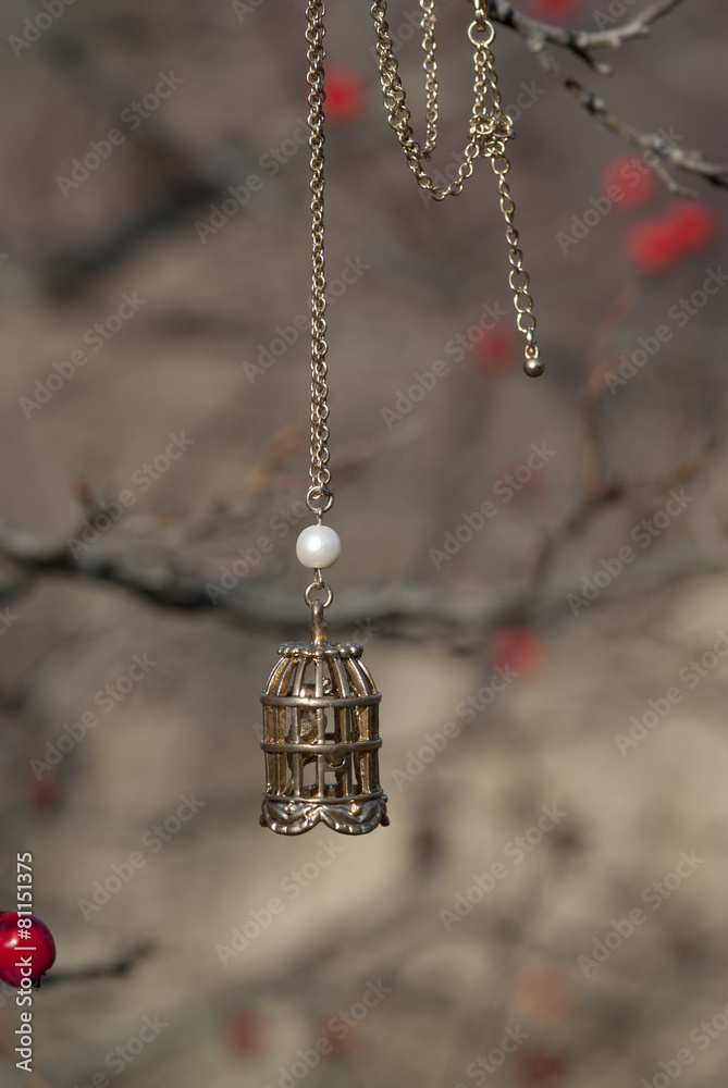 брелок птичья клетка на цепочке Stock-Foto | Adobe Stock