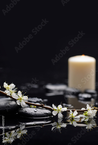 Branch orchid with candle and therapy stones     