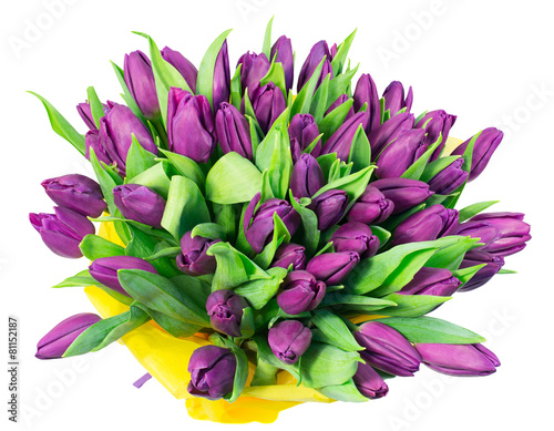 Fototapeta Naklejka Na Ścianę i Meble -  Bouquet of tulips