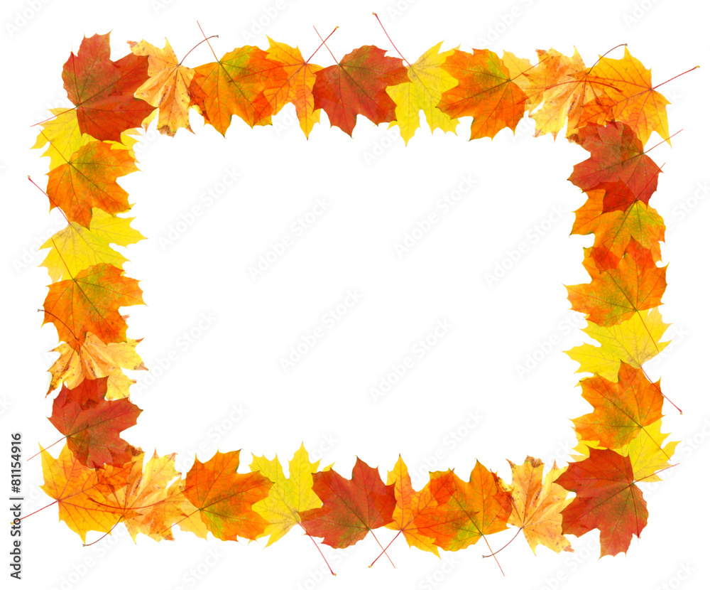 Frame of autumn leaves isolated on white