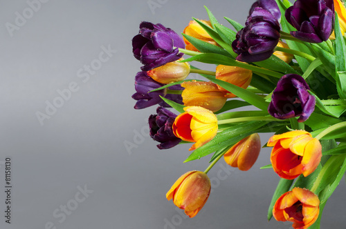 Background of tulips photo