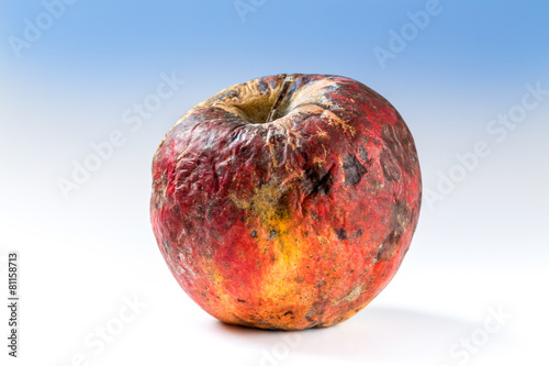 Old rotten apple