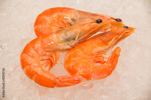 Boiled of shrimp, on ice background.