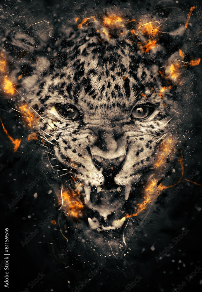 Fototapeta Leopard in fire