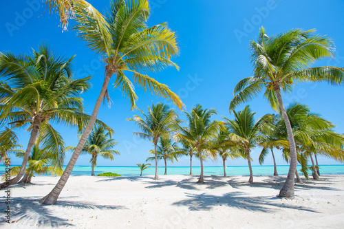 Idyllic tropical beach with palm trees © Kaspars Grinvalds