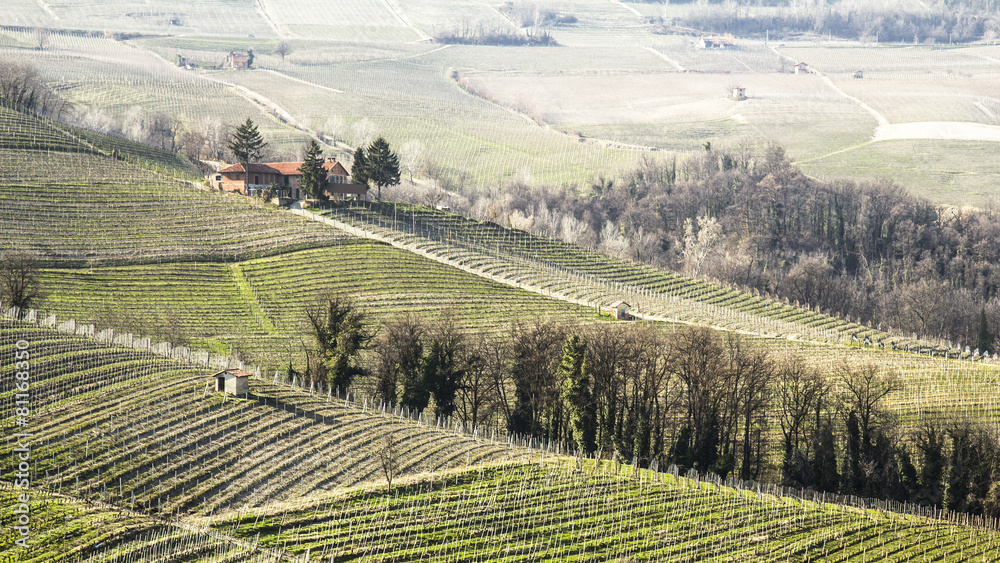 Fototapeta premium Tuscany