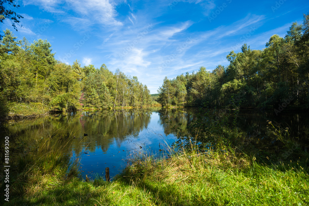 Schwenninger Moos, Villingen-Schwenningen