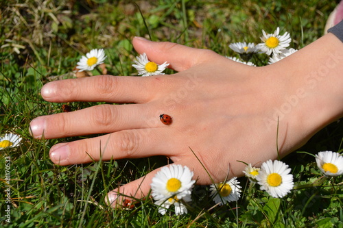 Kinderhand mit Marienkäfer