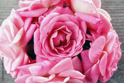 Beautiful pink roses, closeup