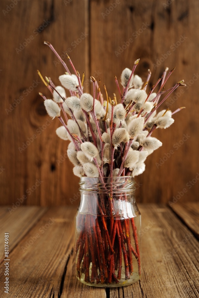 Bouquet of pussy willow twigs in glass jar on wooden background