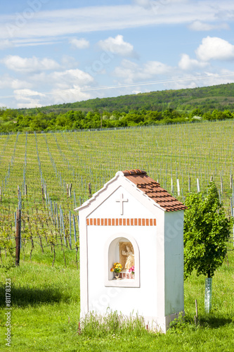 God's torture near Hnanice with spring vineyard, Southern Morav photo