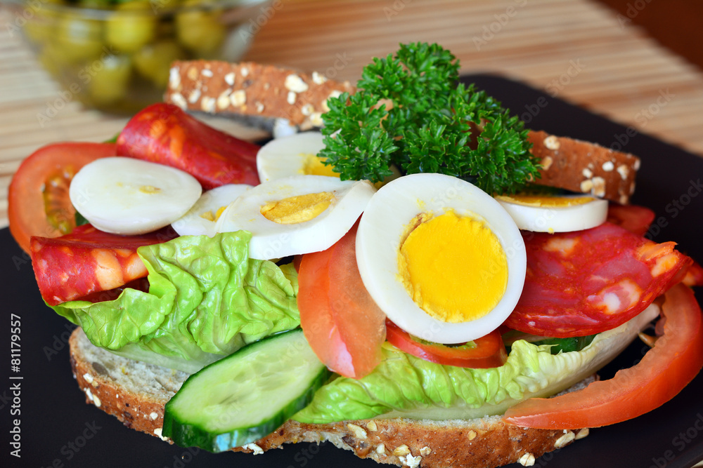 Fresh and tasty sandwich with salami and vegetables on a plate Fresh and tasty sandwich with salami and vegetables on a plate