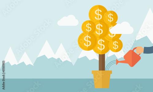 Growing money plant.
