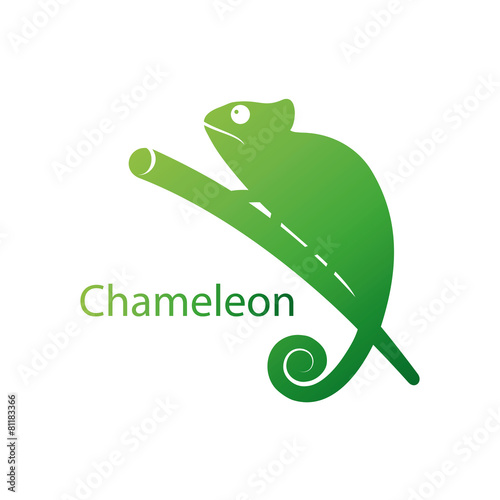 chameleon