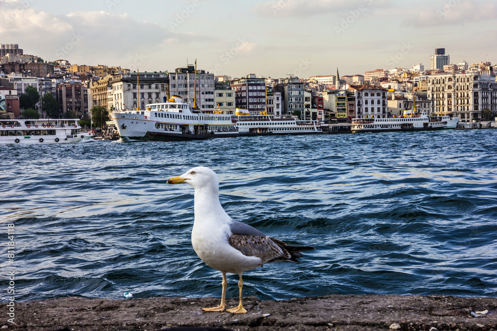 Istanbul seafront panoramic view. Istanbul seafront panoramic view.