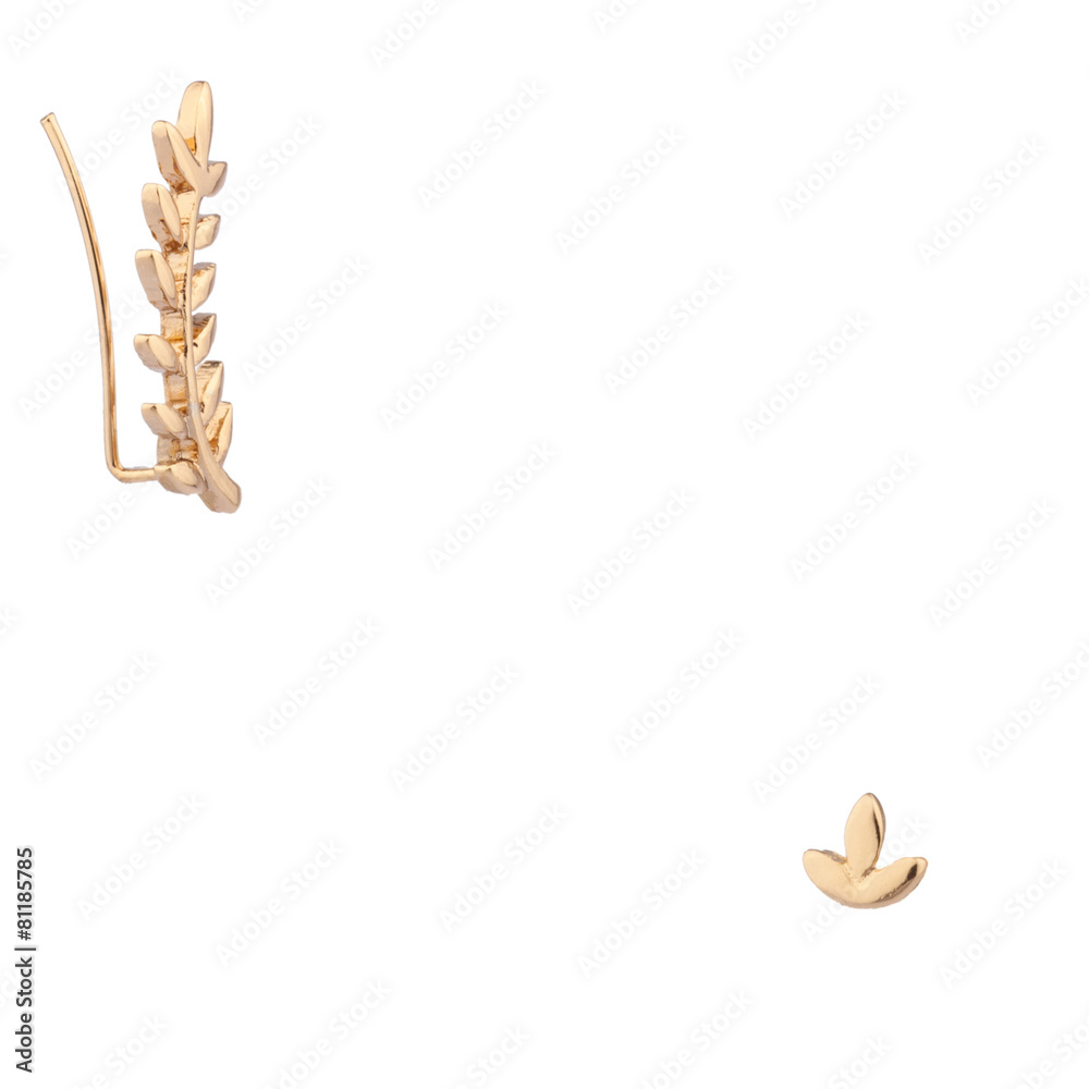 Obraz premium Jewerly