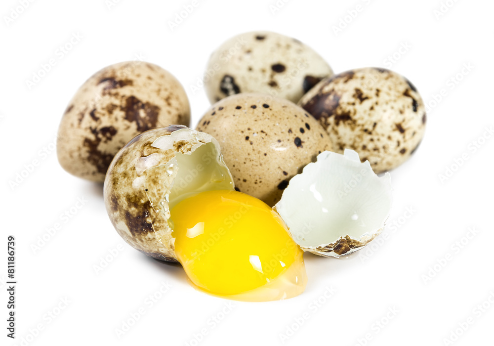 Obraz premium Raw quail eggs