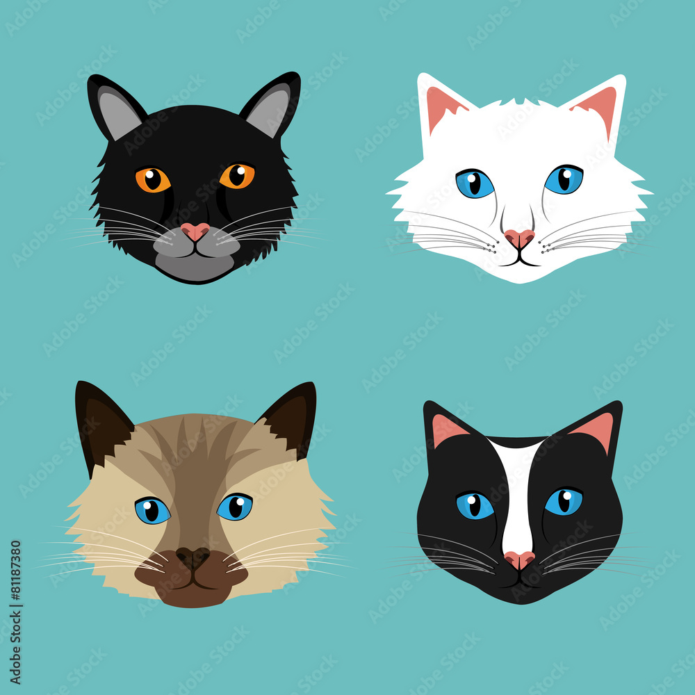 Pet design. Pet design.