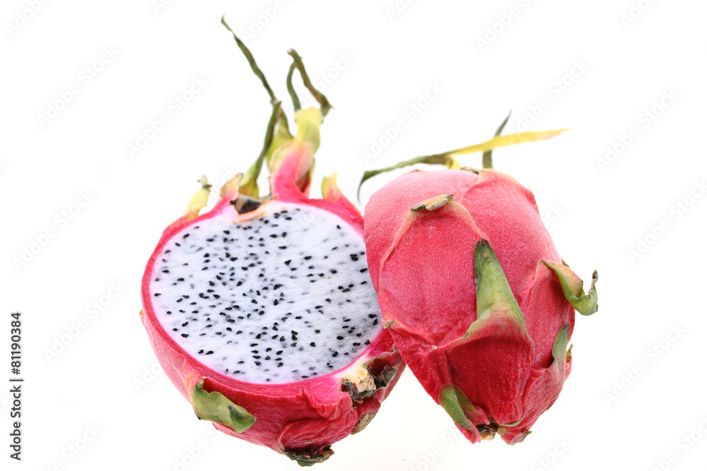 dragon fruit dragon fruit