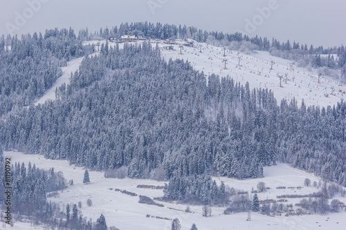 Ski resort next to the forest covered by fresh snow