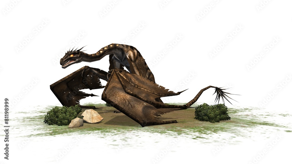 fantasy Dragon Creature - separated on white background fantasy Dragon Creature - separated on white background