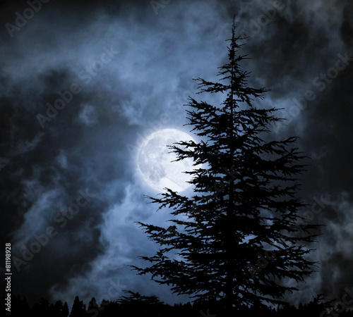 Photos nightly sky with large moon