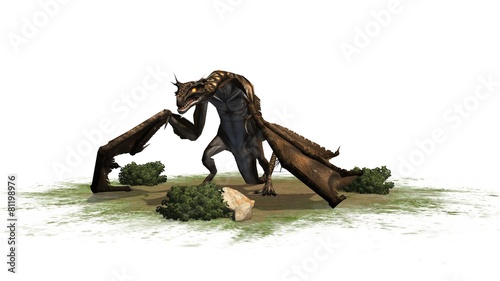fantasy Dragon Creature - separated on white background