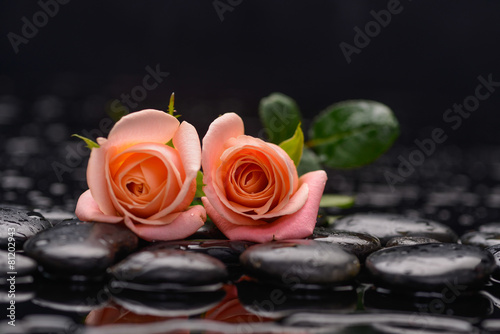 Still life with two orange rose and wet stones