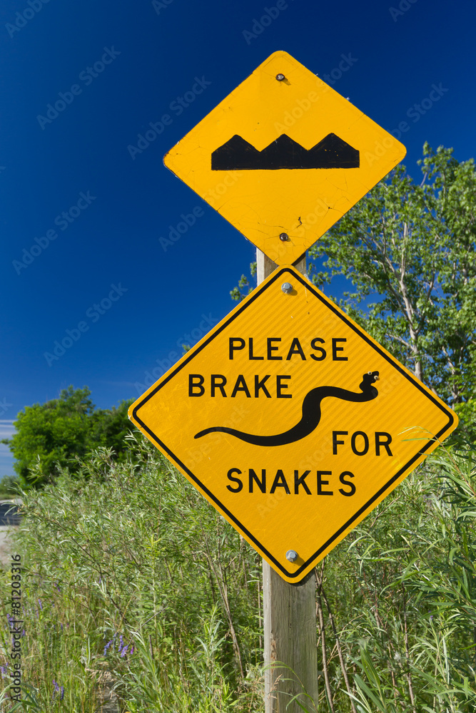 Road signs Bump and Brake for Snakes