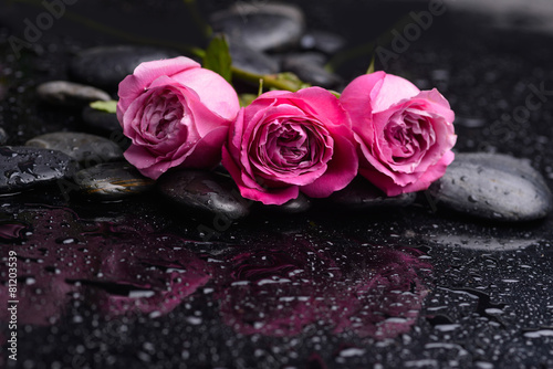 Lying down pink rose with petals with therapy stones 